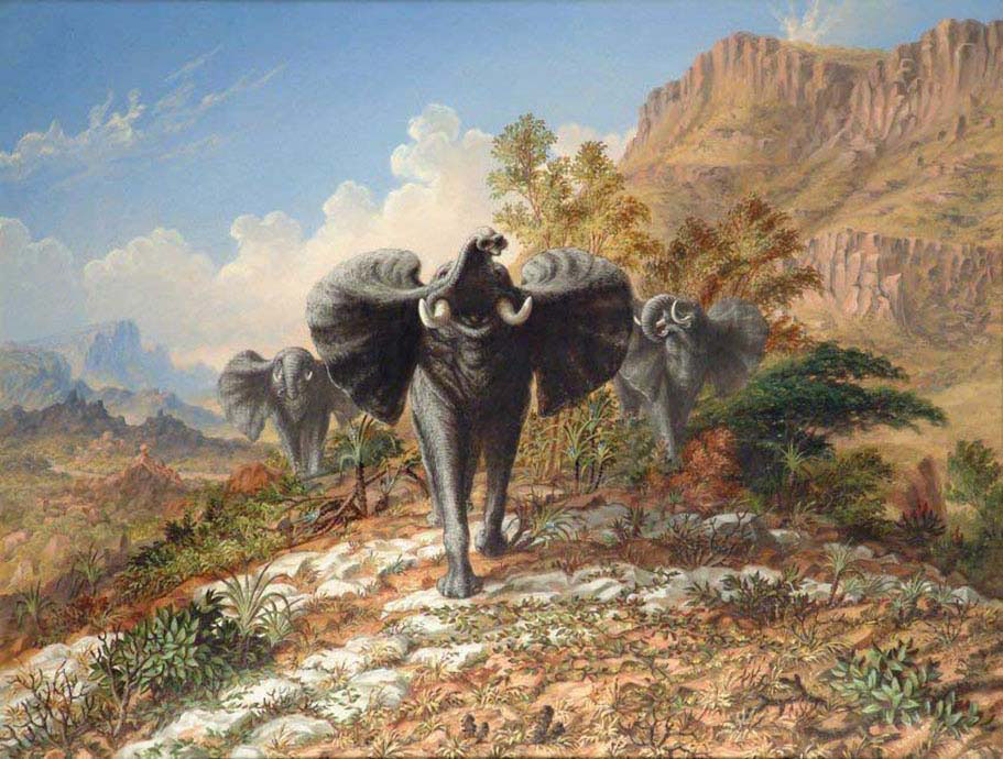 Gold and Ivory Elephants